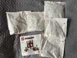 21272 LEGO Minecraft Ring w Leśnym dworze