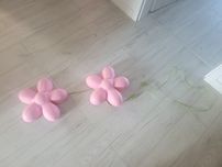 Lampki kwiatki ikea