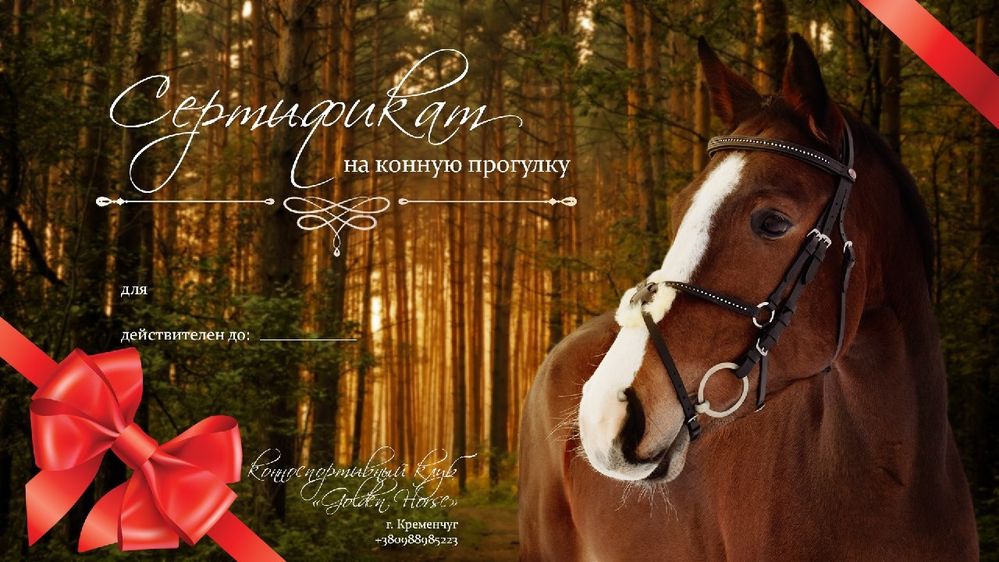 Подарочный сертификат на конную прогулку(лошади, конный спорт, верхова