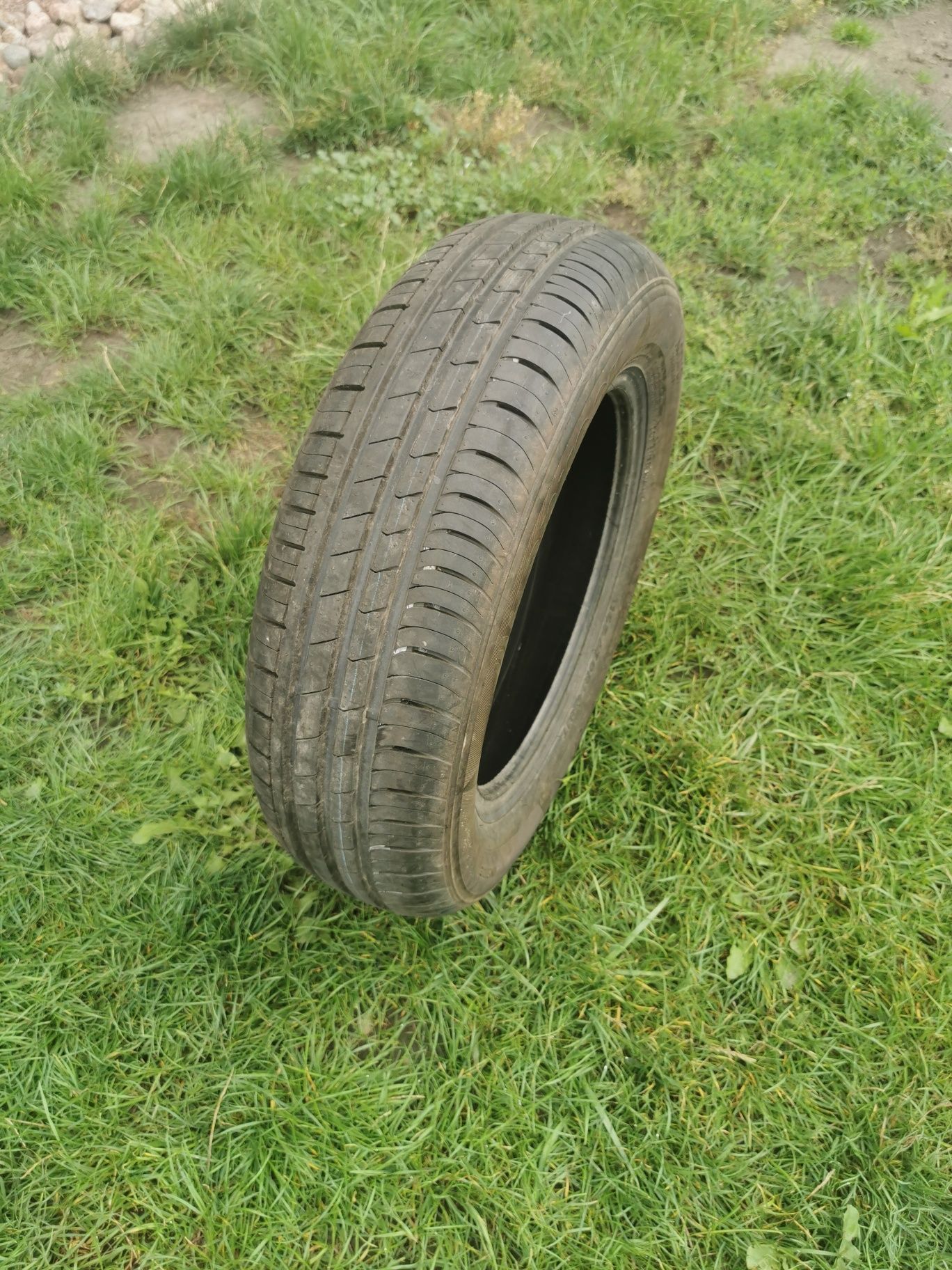 Opona Hankook Kinergy ECO 165/70R14 81T