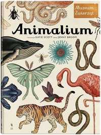 Animalium Wyd.3, Jenny Broom, Katie Scott
