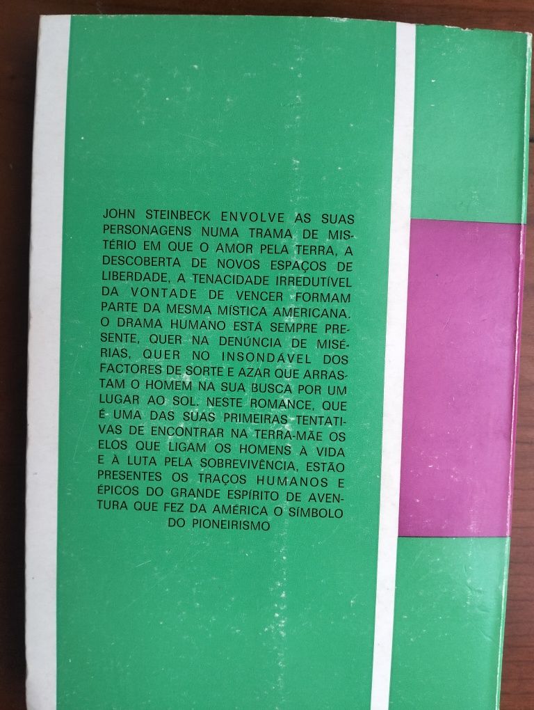 Livro A Um Deus Desconhecido'