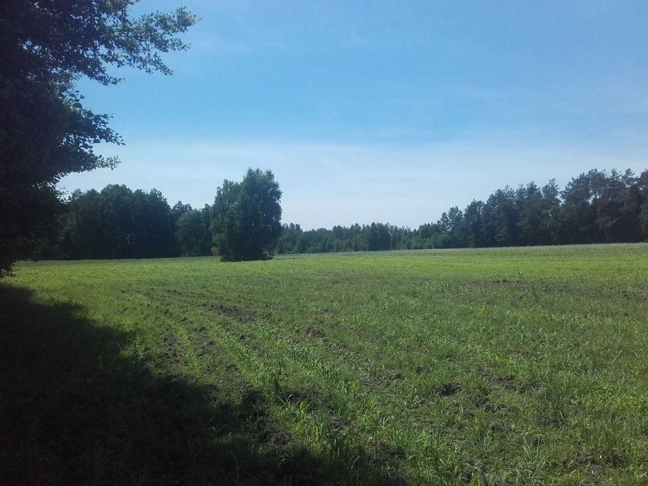 Działka ŚWIERKOWO/W-wa, Legionowo, Pułtusk, Maków, Wyszków, Nasielsk