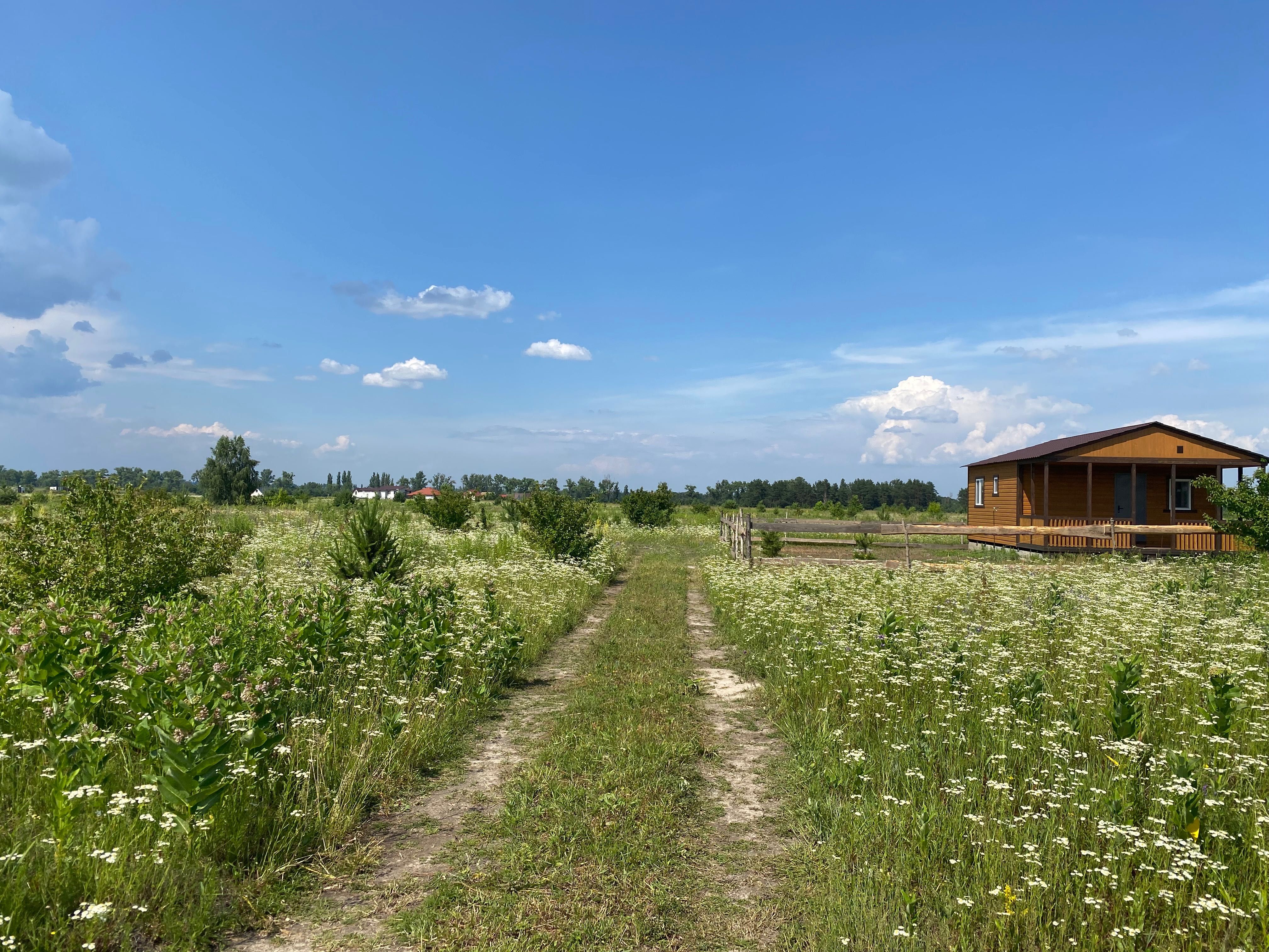 Продам земельную ділянку Бобриця