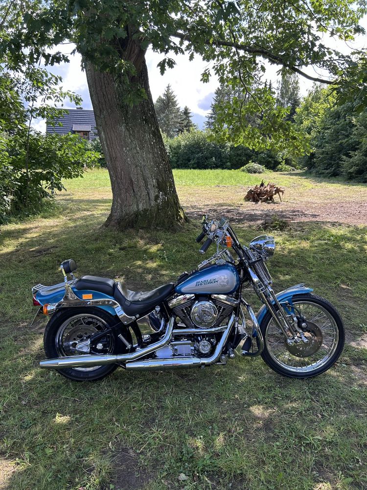 Harley davidson springer softail 1994