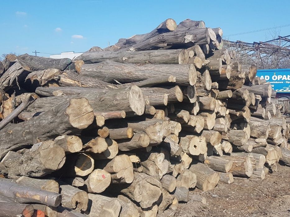 Suche drewno kominkowe, opałowe Małopolskie, Skawina, Mogilany