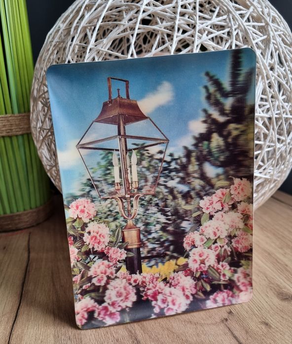 Stara kartka 3D amerykańska vintage postcard kwiaty blossoms Manhattan