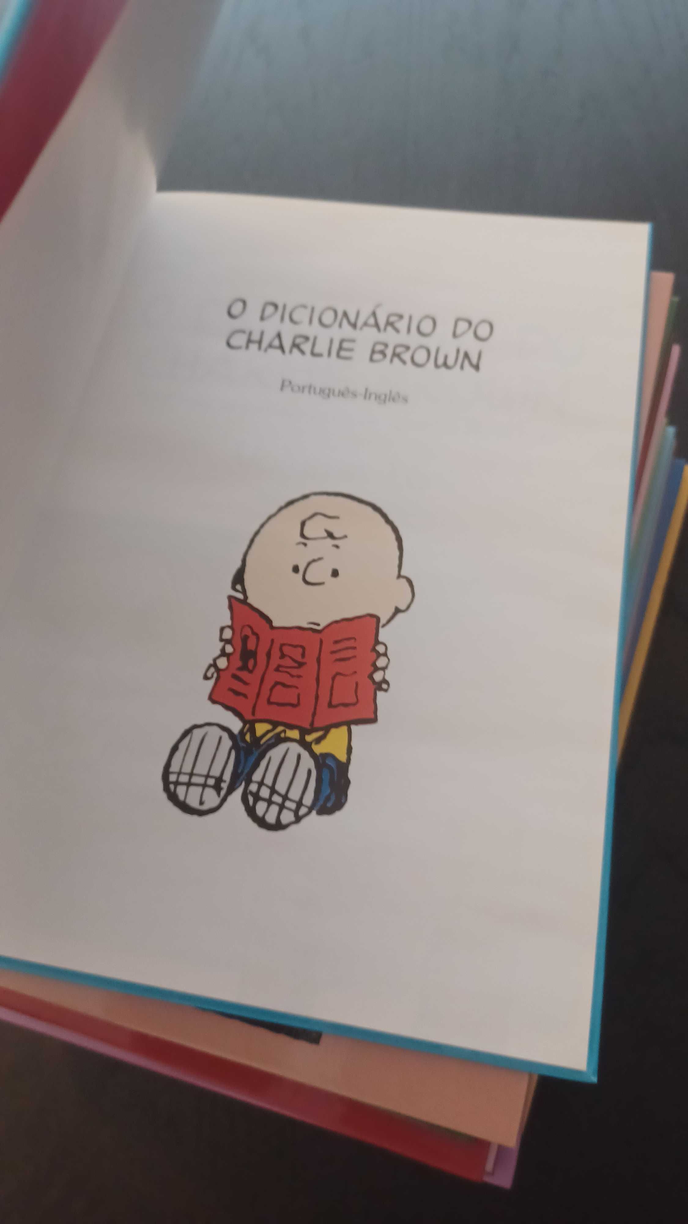 Dicionário Português Charlie Brown- 16 livros