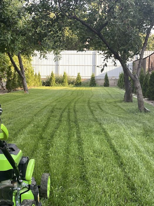 Спил деревьев,дробление измельчение веток,вывоз,культивация мотоблоком