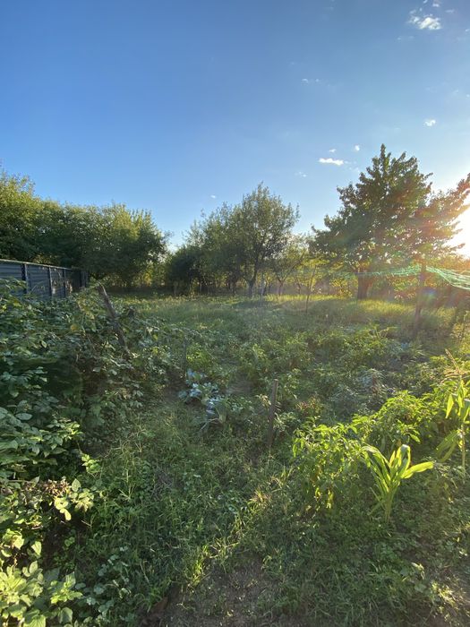 Продам будинок в Берегові