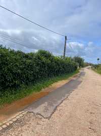 Empresa de jardingem