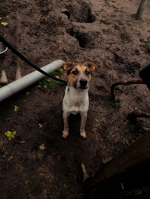 Рик ищет ответственную семью