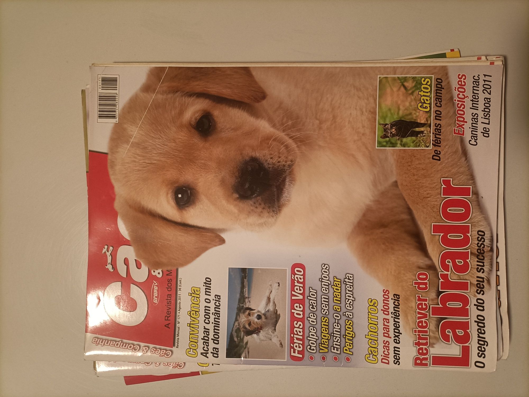 Revistas Cães e companhia