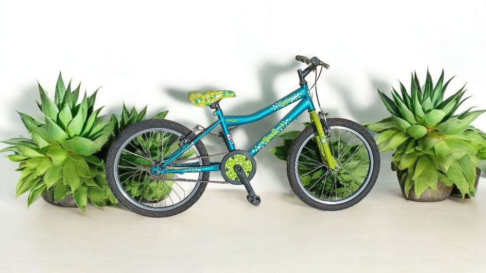Bicicleta berg charme roda 20