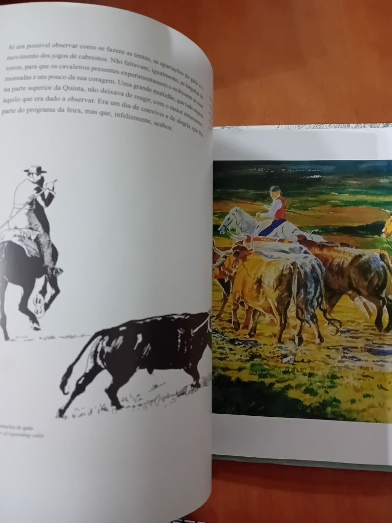 O Solar do Cavalos
