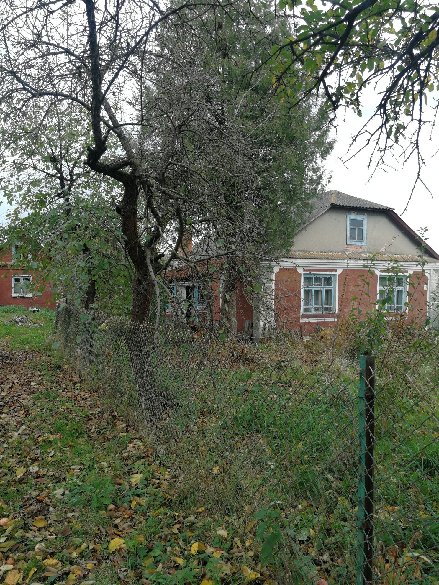 Продаю будинок в с.Кропивщина.