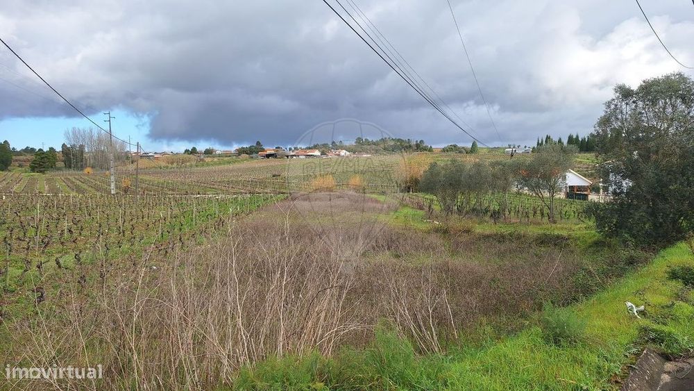 Terreno  para venda