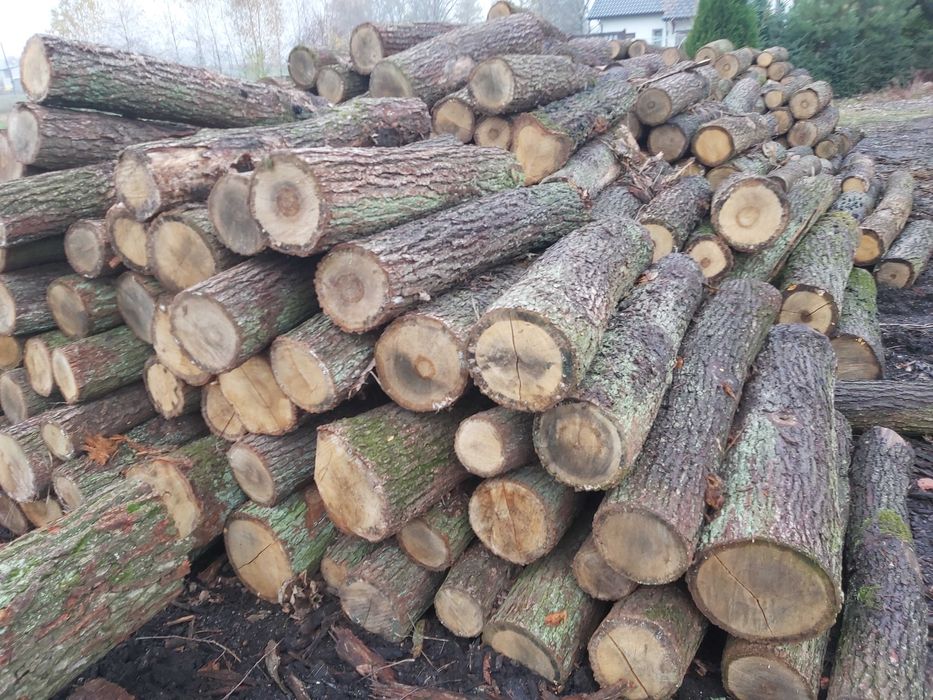 SUCHE DREWNO kominkowe, brzoza, dąb, buk, grab, opałowe iglaste