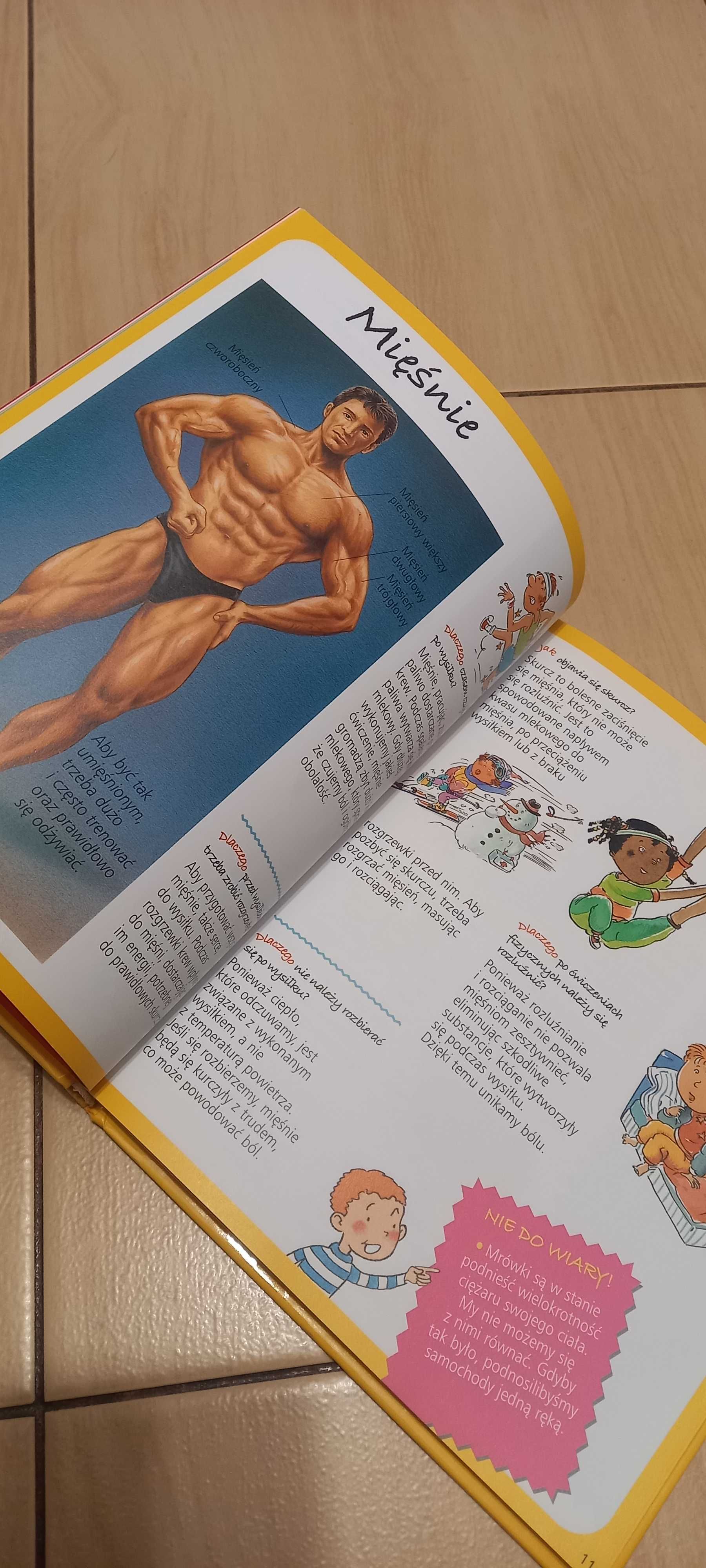 Ciało – obrazkowa encyklopedia dla dzieci - Cathy Franco