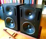 Genelec 1031A Aktywne monitory studyjne