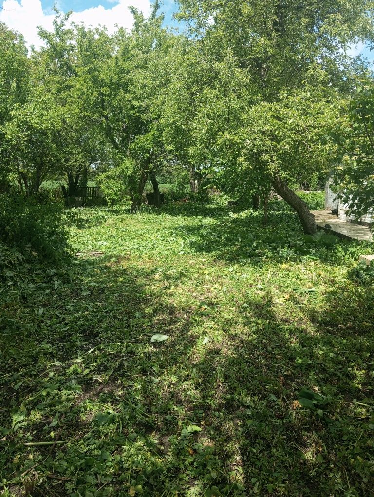 Срочно Продам будинок с.Топильно