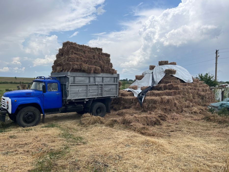 Сіно лугове в тюках