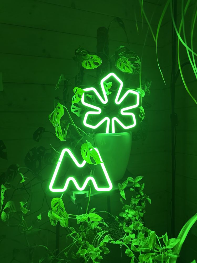 LED неон Каштан та Метро. USB світильник.