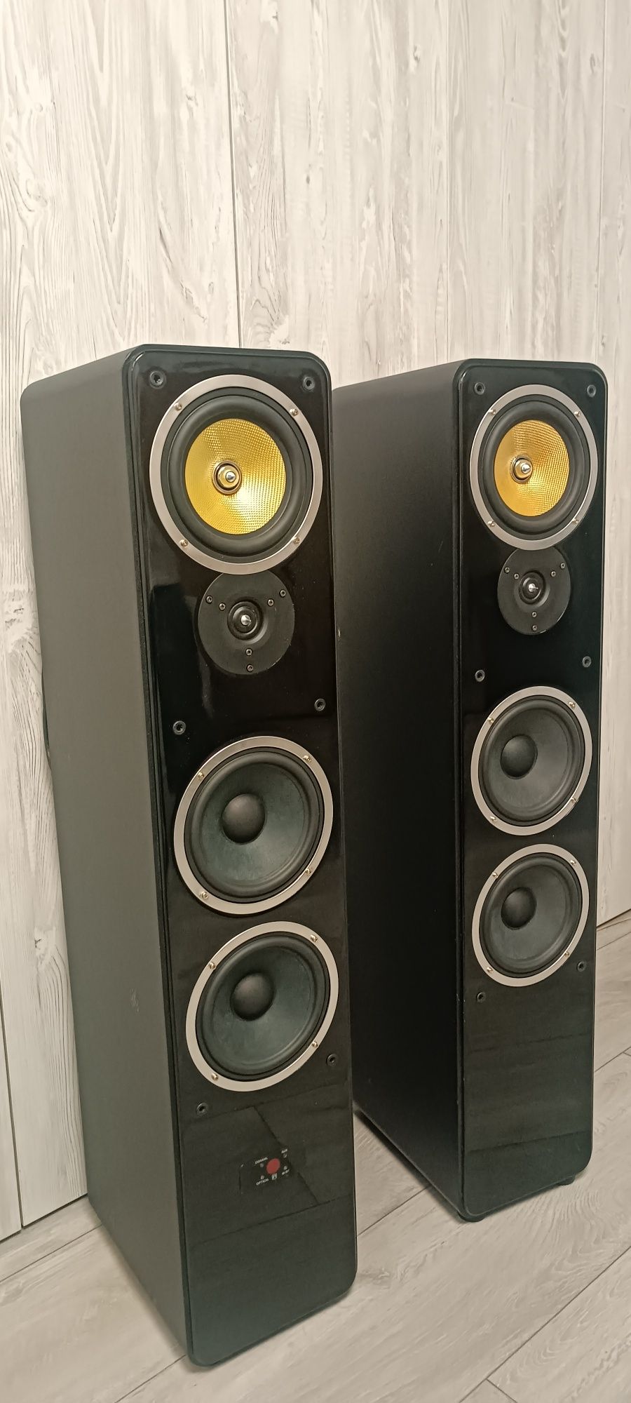 Kolumny aktywne podłogowe Bluetooth 120W RMS