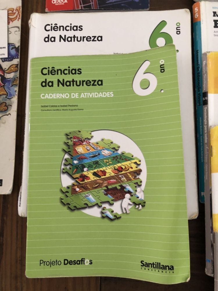 Livros escolares do 6 Ano