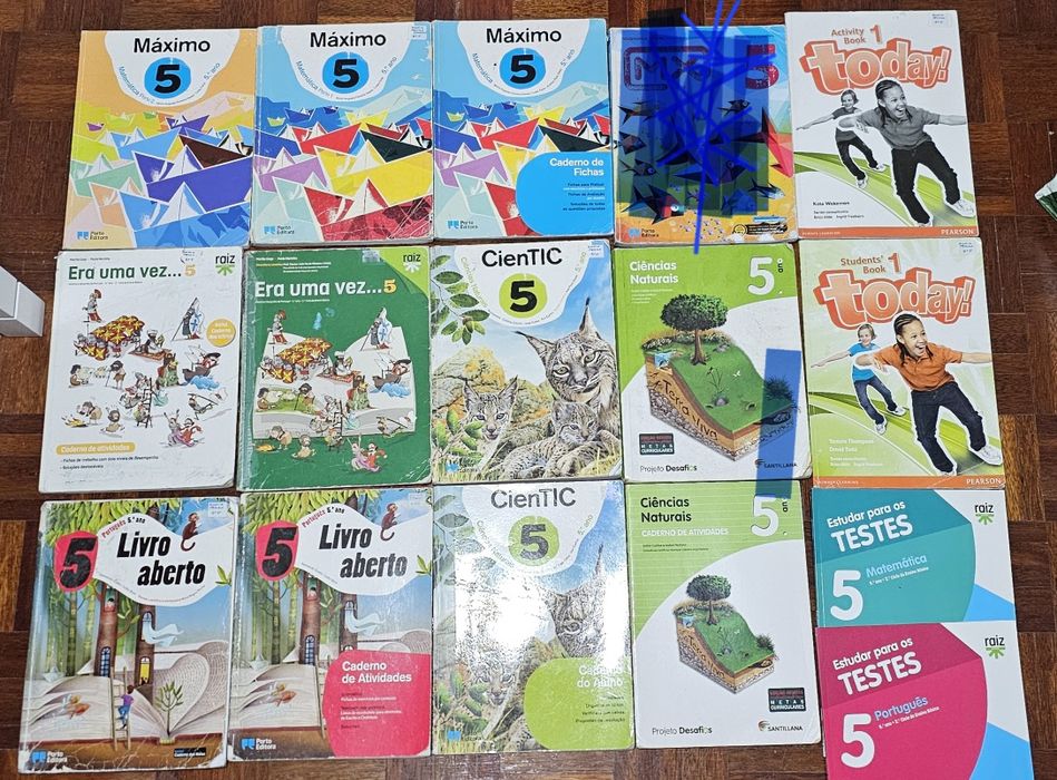 Manuais e cadernos de atividades 5°ano