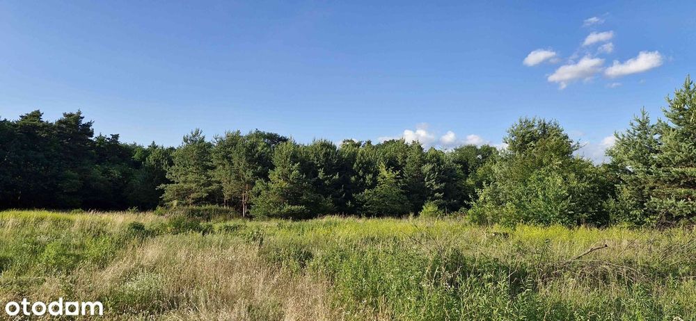 Działka budowlana pod lasem Kędzierzyn-Koźle ul. Czeremchowa/Wandy