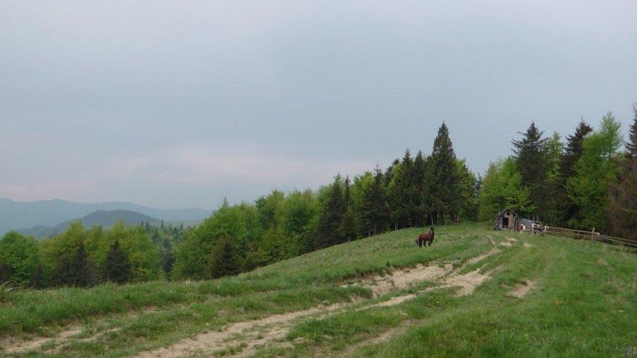 Продається земля в Березові для забудови Модульниих будинків
