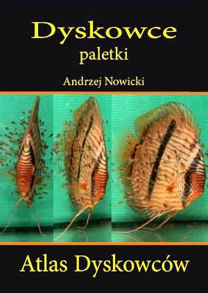 Książka "Dyskowce paletki"