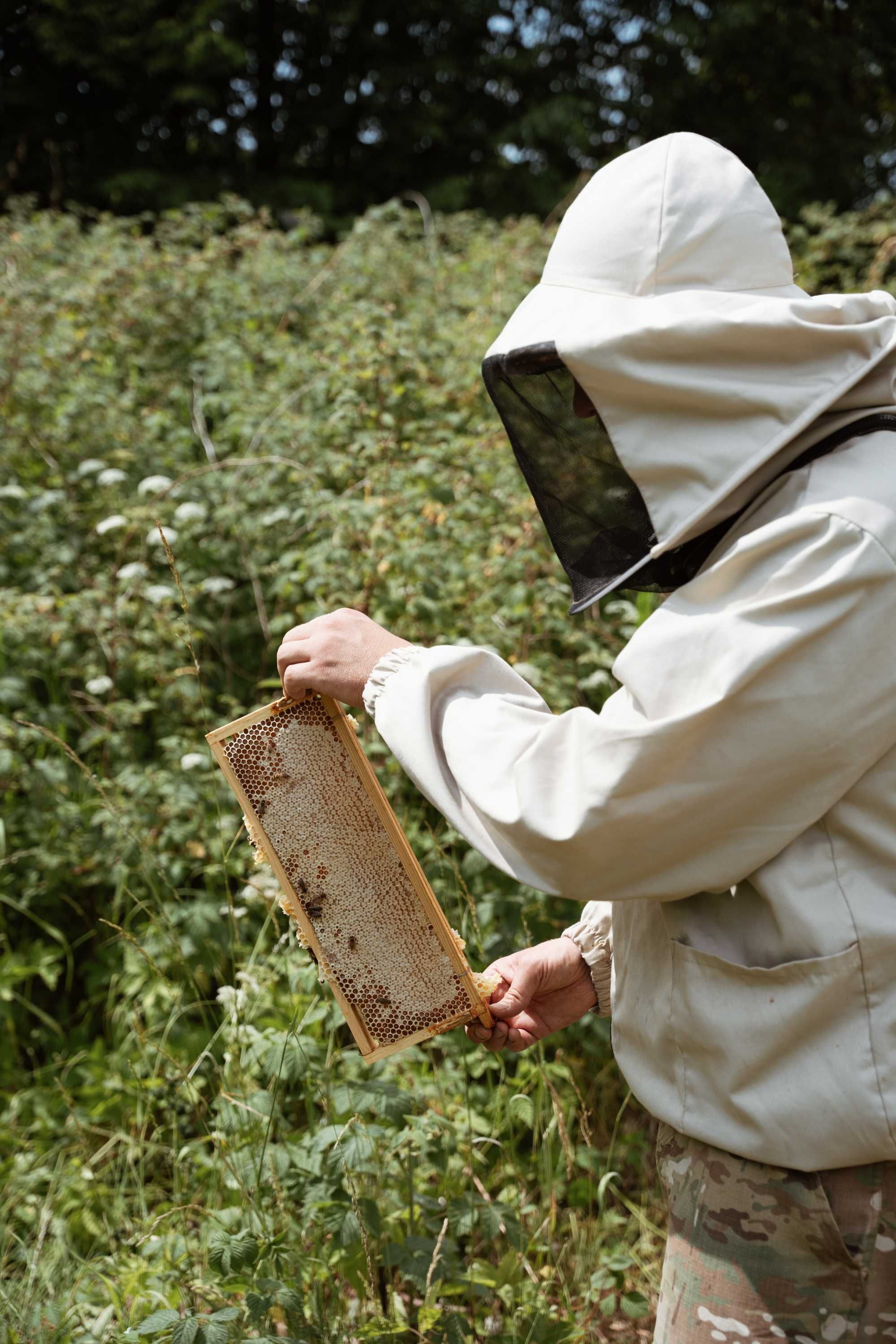 100% Naturalny Miód Rzemieślniczy Spadziowy - Pasieka MR Honey