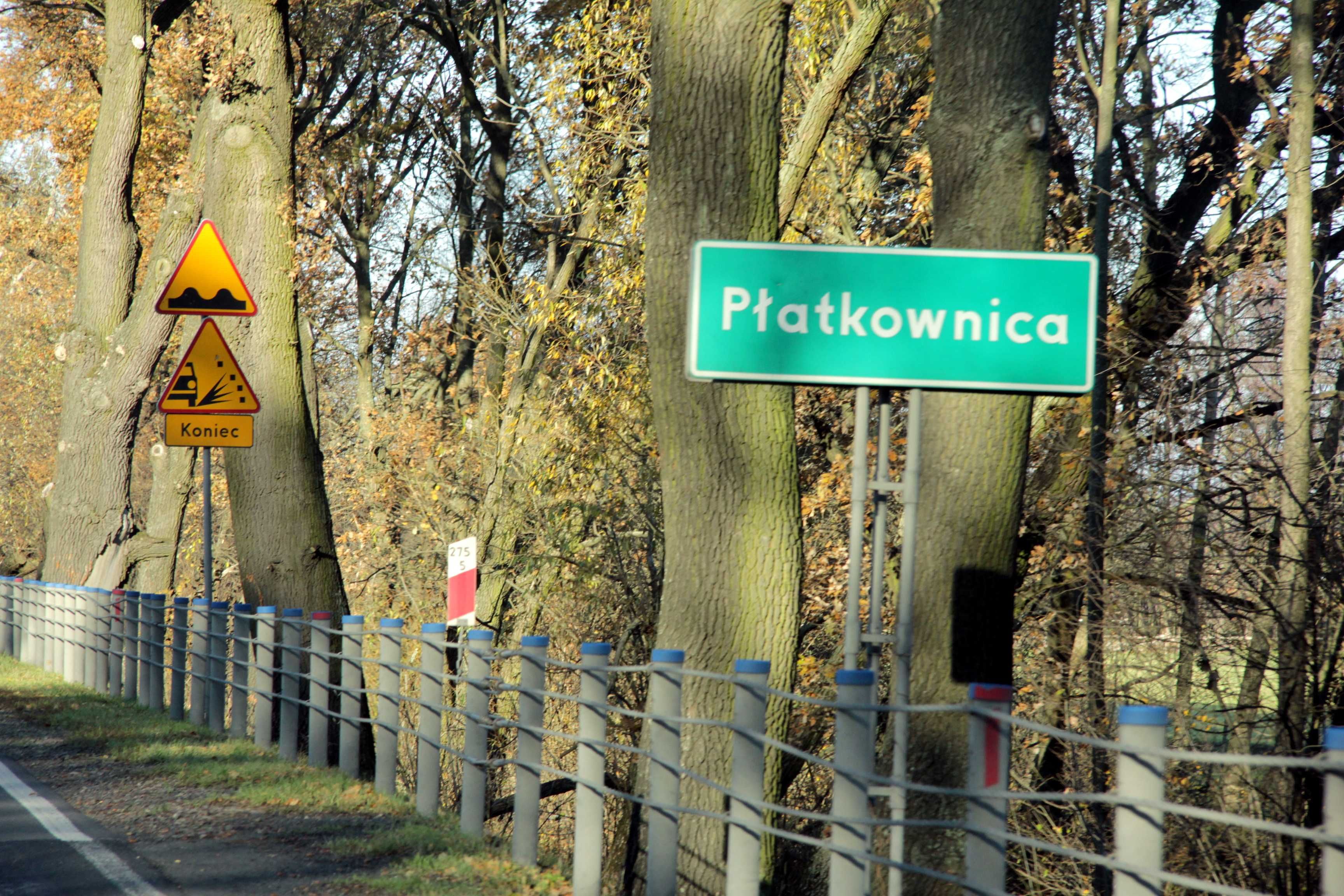 Dzialka budowlana Sadowne, Brok, Płatkownica