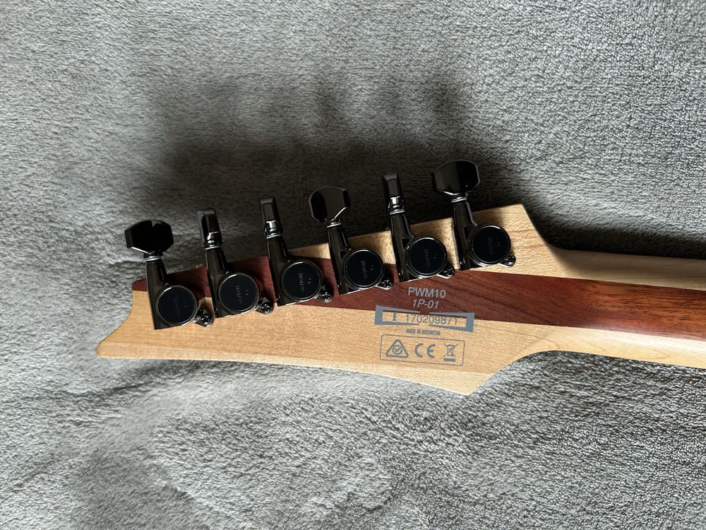 Ibanez premium pwm10