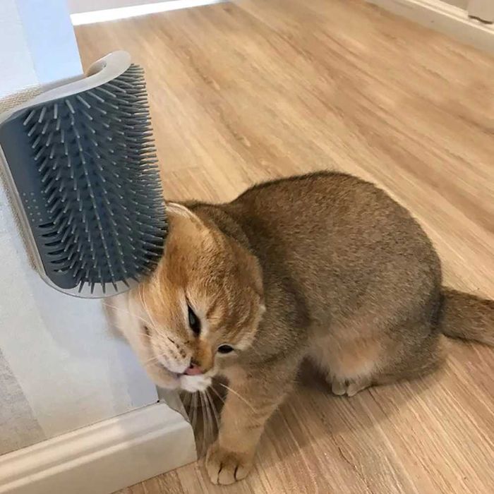 Szczotka Narożna do Masażu z Kocimiętka dla kota drapak kolor czarny