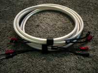 Kabel głośńikowy Chord Clearway X
