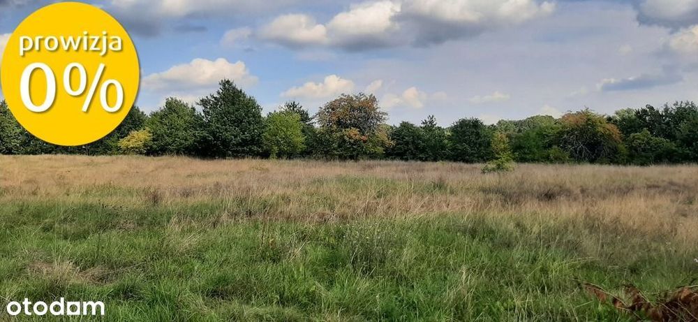 Urokliwa działka z widokiem na las- Letnica