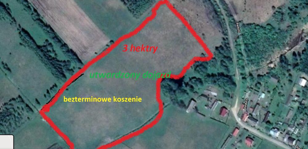 Łąka -Trawa-Kiszonka