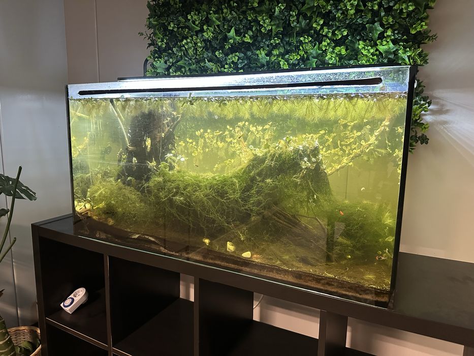 Aquário 1m completo c/ LED + acessórios — despachar em Gondomar