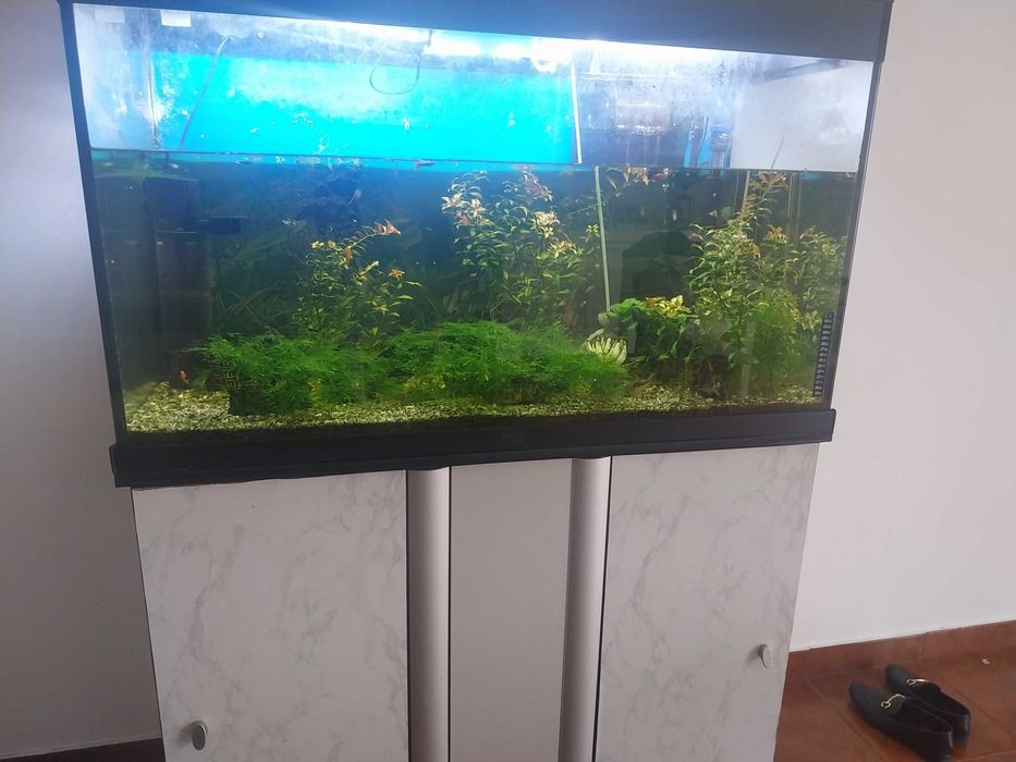 Aquário para venda
