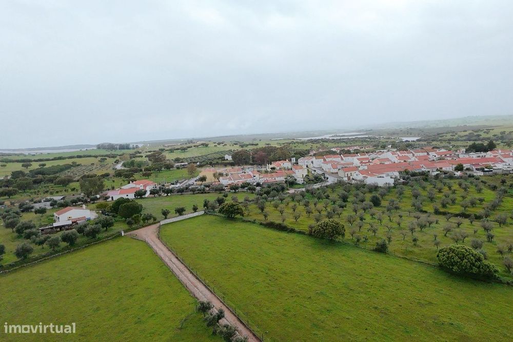 Magnífica Quinta em Monforte com Vista Panorâmica e Piscina