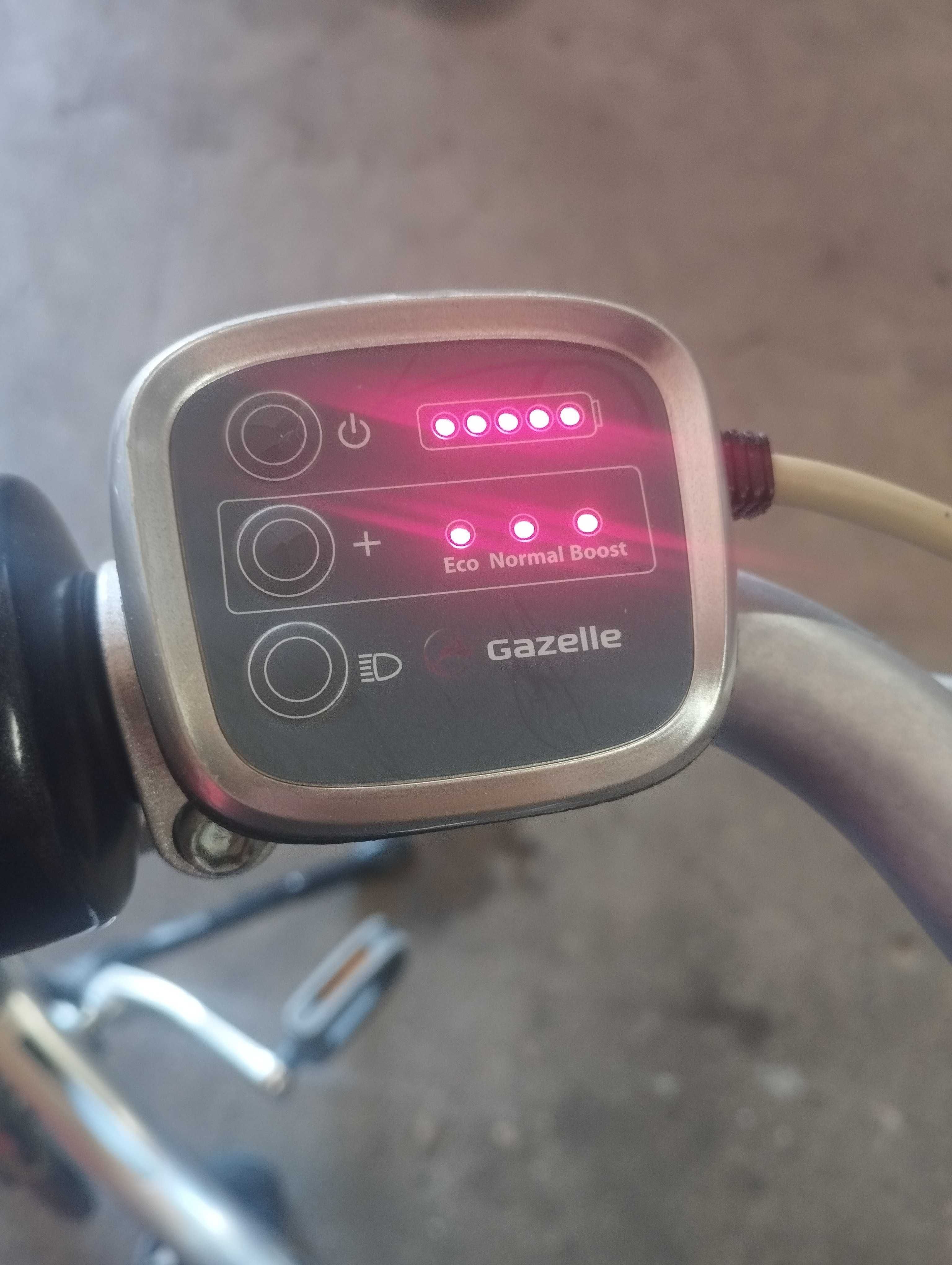 Display Sterownik licznik diodowy Gazelle Innergy