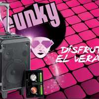 Sistema de Som Portátil Bluetooth (ideal para festas) WILDFUNKY