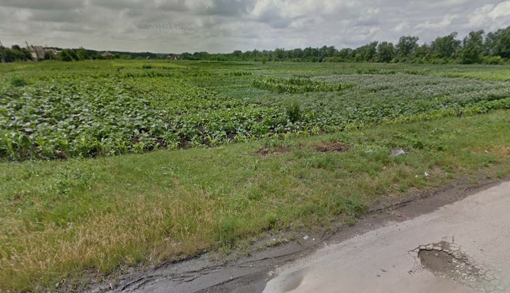 Продам земельный участок пай