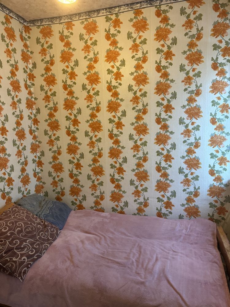 Продам дом в Диевке 1