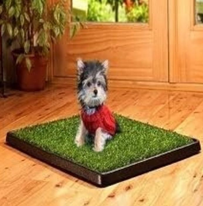 Toaleta ‼️ Kuweta dla psów ze Sztucz. Trawą • 63x50cm Szczeniak Senior