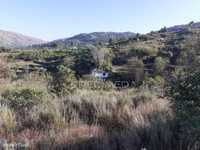 Quinta com mais 4 hectares na Serra da Aldeia Nova