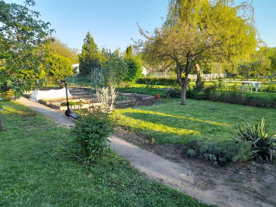 Działka ROD Swoboda Toruń